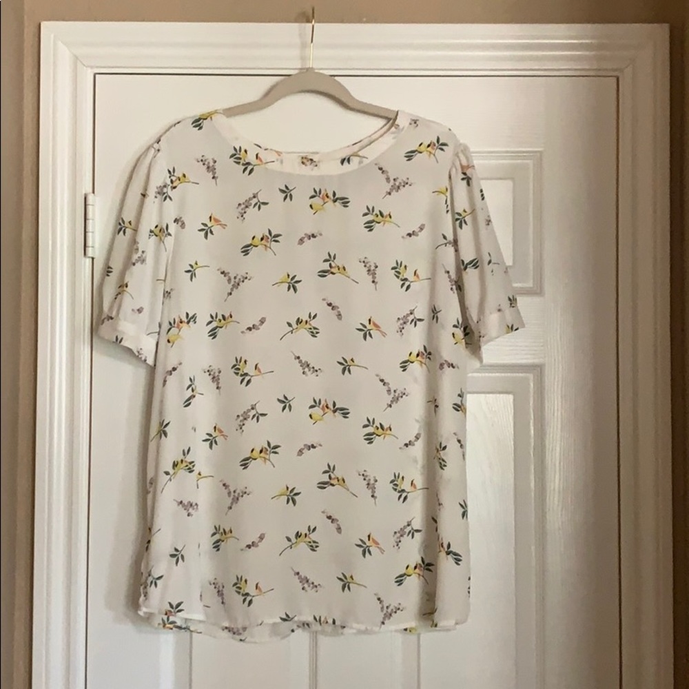 Ann Taylor LOFT Blouse